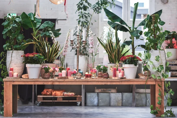 wedding flowers vase plants